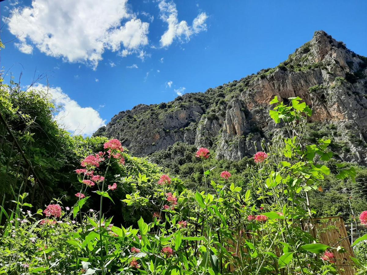 Les Chambres Chouettes Villefranche-de-Conflent Ngoại thất bức ảnh