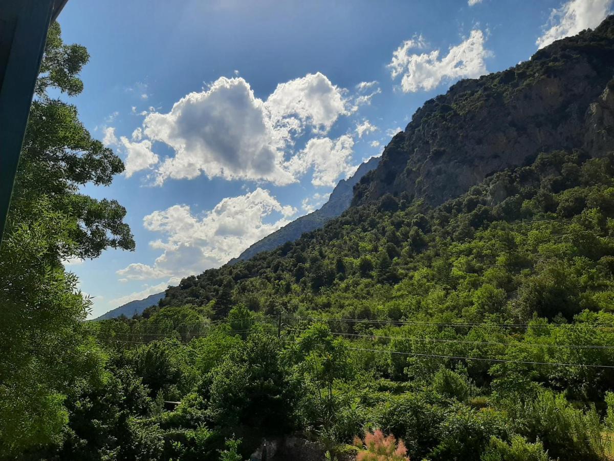 Les Chambres Chouettes Villefranche-de-Conflent Ngoại thất bức ảnh