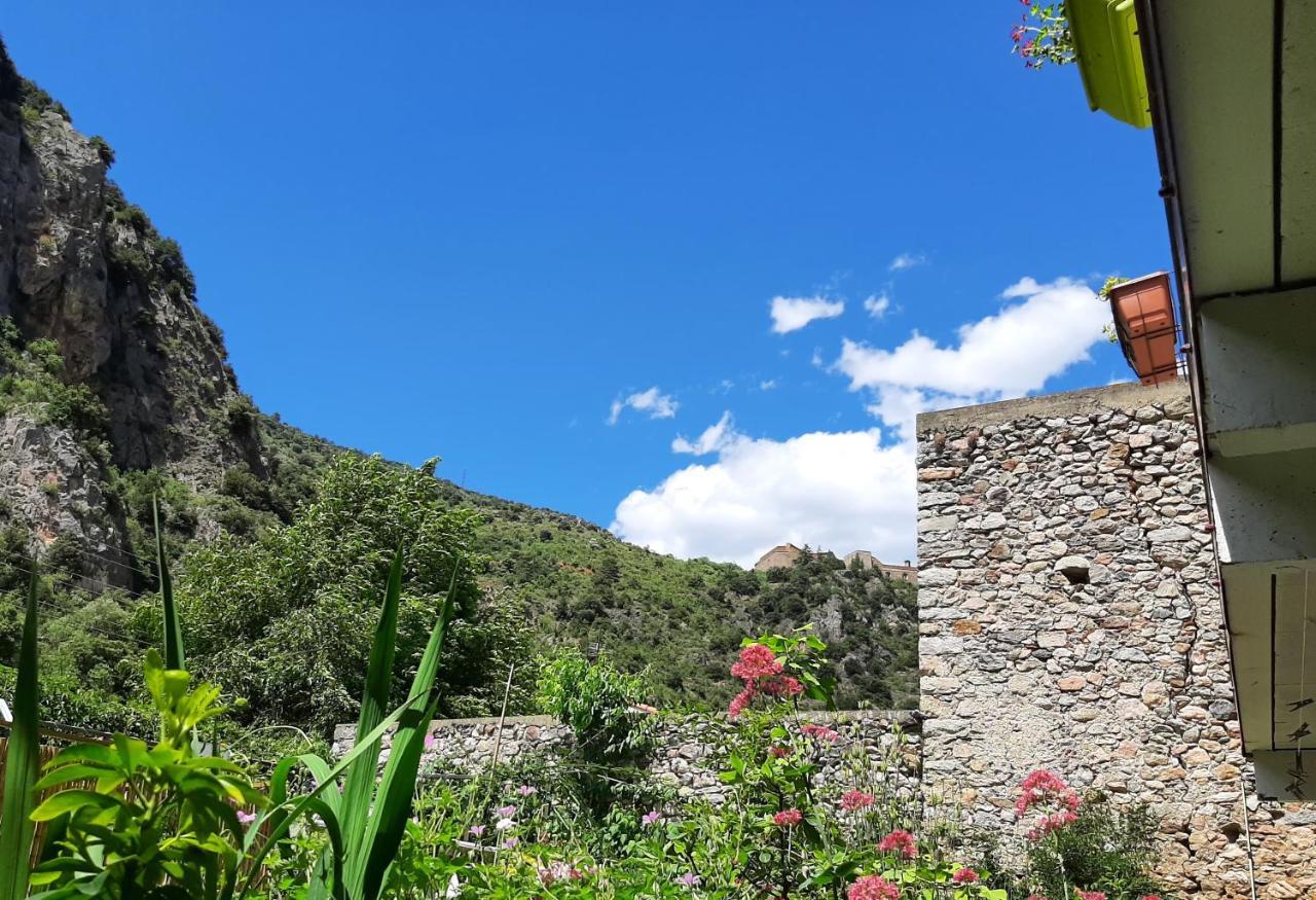 Les Chambres Chouettes Villefranche-de-Conflent Ngoại thất bức ảnh